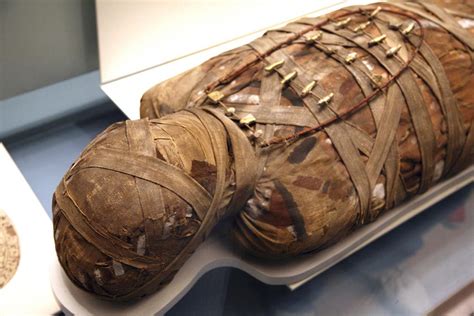 mystery wrapped in linen unraveling the story of hatason a 3 200 year old egyptian mummy