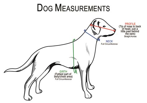 Place your tape measure around your dogs neck where he / she would normally wear their collar. Measure Your Dog - Measure For Our Blind Dog Halo Harness ...