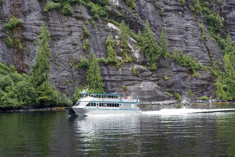 Misty Fjords And Wilderness Explorer Allen Marine Tours