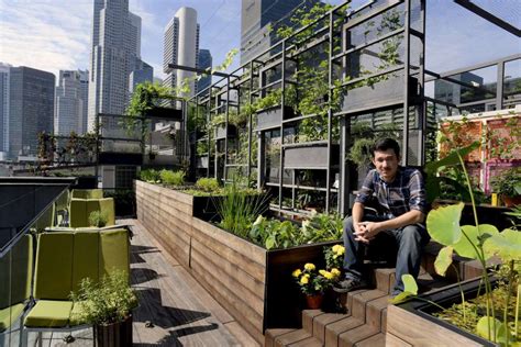 Urban Farming In Singapore Has Moved Into A New High Tech