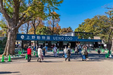Zoológico De Ueno Ecured