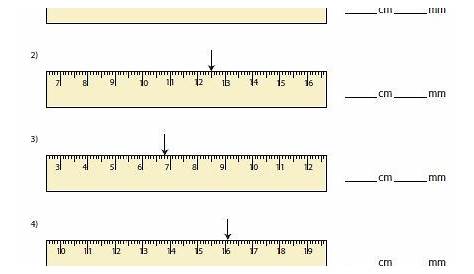 Pin on Measurement Worksheets
