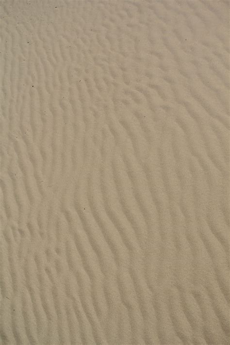 Texturex Sand Ripple Texture Beach Dune White Sandy Texture Texture X