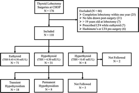 Clinical Course Of Early Postoperative Hypothyroidism Following Thyroid
