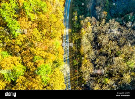 Aerial View Of Of Green And Orange Trees During Autumn Hi Res Stock