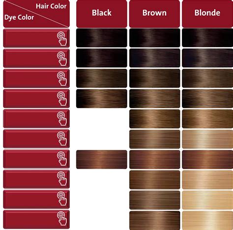 Ash Brown Hair Color Chart Loreal