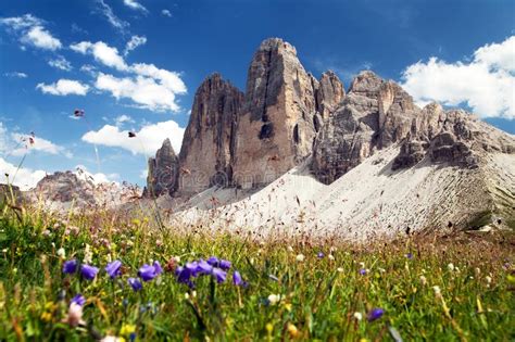 Drei Zinnen Or Tre Cime Di Lavaredo Italian Alps Stock Image Image