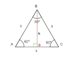 How to calculate altitude of an equilateral triangle? ALTITUDE OF A TRIANGLE | Altitude Of A Equilateral ...