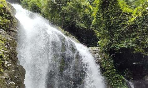 Ada banyak sekali objek wisata di bali yang tak boleh dilewatkan ketika kalian berkunjung ke pulau dewata ini, lalu. Taman Wisata Ds.pulau Buayo Kabupaten Sarolangun, Jambi ...