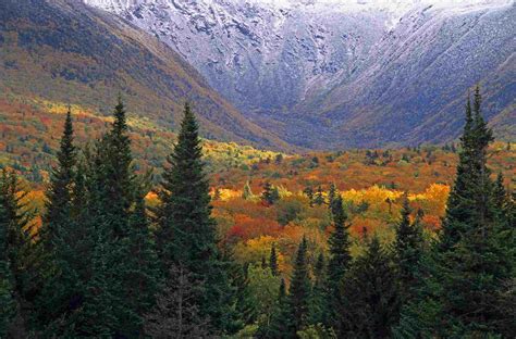 10 Best Fall Color Forest Views In The Us And Canada