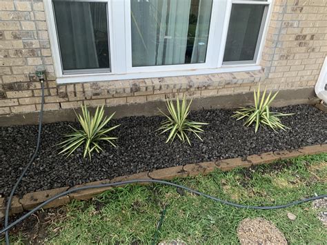 See 37 traveler reviews, 98 candid photos, and great deals for element dallas downtown east, ranked #133 of 230 hotels in dallas and rated 3.5 of 5 at tripadvisor. Yucca's with Large Black Tejas Gravel : landscaping