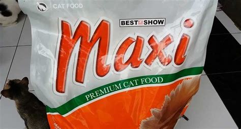 Bingung memilih makanan kucing yang bagus? Harga Makanan Kucing Maxi - Kucing.co.id
