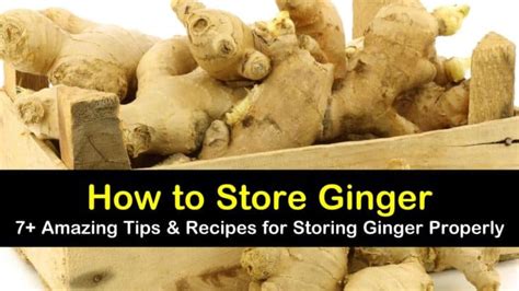 Brilliant Ways To Store Ginger