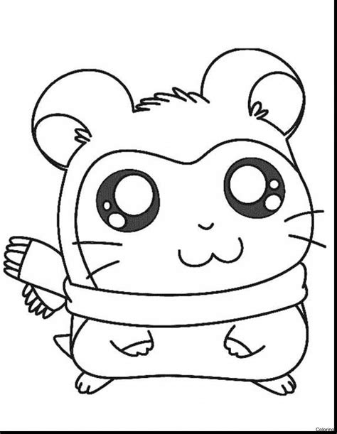 The signs of the zodiac. Guinea Pig Cartoon Drawing at GetDrawings | Free download