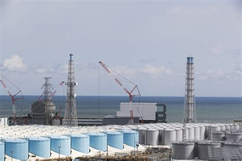 决定了日本要把核废水排进海里十年后全球海域无一幸免 凤凰网