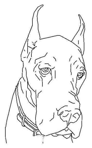 If your child loves dogs, introduce him to the great dane with this simple coloring page. Kids-n-fun.com | 17 coloring pages of Dogs