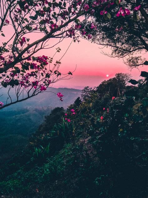 Sign up for free today! Bandarban, Bangladesh | Beautiful landscapes, Nature ...