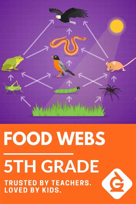 The science instructional plans are uploaded daily into #goopenva and can easily be accessed through the science vdoe group. Food Webs for 5th grade! Check out this science video ...