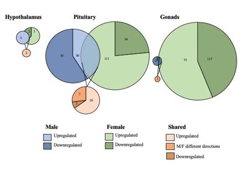 Sex Biased Differential Genomic Expression In Response To Exogenous
