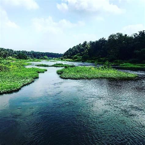 Tamil nadu shares its borders with kerala, karnataka and andhra pradesh. On the border of Kerala and Tamil Nadu #nature #india #kerala #tamilnadu #incredibleindia ...
