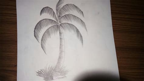 Share More Than Coconut Tree Pencil Sketch Super Hot In Eteachers