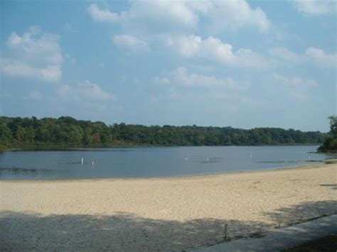 Cabins managed by ohio state parks. Punderson State Park Beach - Picture of Punderson State ...