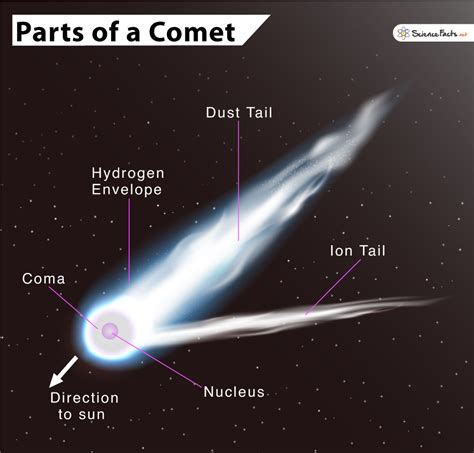 Parts Of A Comet Name Composition And Labelled Diagram