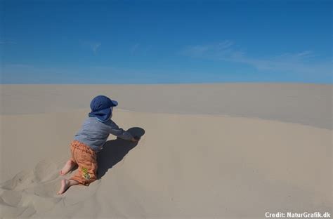 The Migrating Sand Dunes Of R Bjerg Mile Wild About Denmark