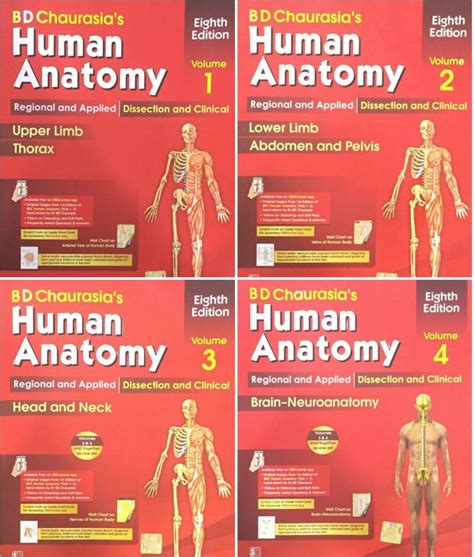 Human Anatomy By B D Chaurasias 8th Editionset Of 4 Books Vol 123