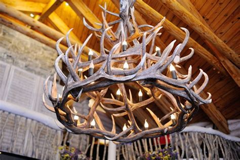 Deer antler spray — a supplement commonly used in the fitness and sports industries that has a long history of use in eastern medicine — is pretty much as strange as it sounds. The Proper Way on How to Clean Deer Antlers