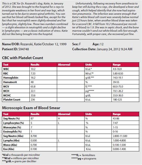 White Blood Cell Count Chart