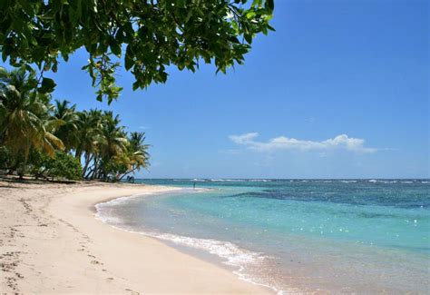 Plage De Petite Anse Capesterre De Marie Galante Guadeloupe Tourisme