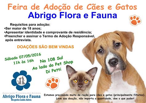 Bras Lia Muitos Eventos Pet Nesse Fim De Semana Confira Blog