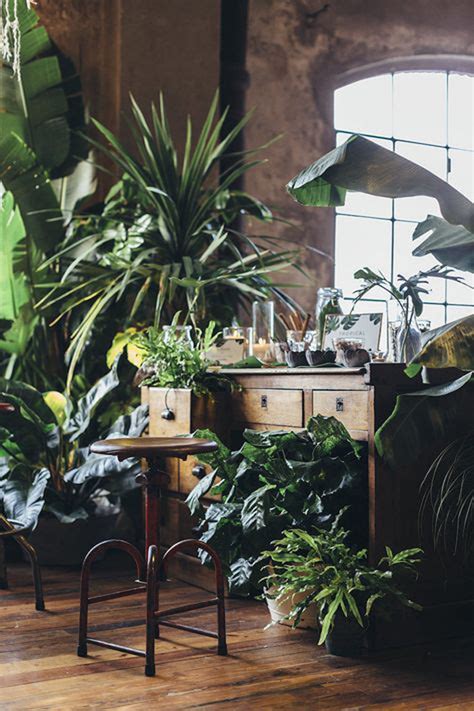 30 Inspiring Jaw Dropping Jungle Interiors