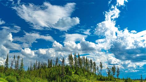 Blue Sky Clouds Hill Trees Forest