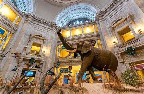 News Tagged museum | Travel News & Features | Fodor's