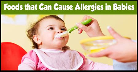 Nearly 5 percent of children under the age of five years have food allergies. Foods that Can Cause Allergies in Babies