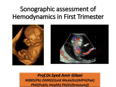 Pdf Sonographic Assessment Of Hemodynamics In First Trimester