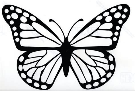 Butterfly Vinyl Sticker Big Butterfly Butterfly Drawing Butterfly