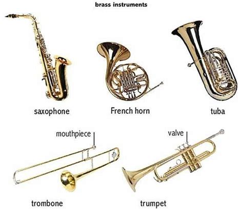 Learn English Vocabulary Through Pictures Musical Instruments Brass