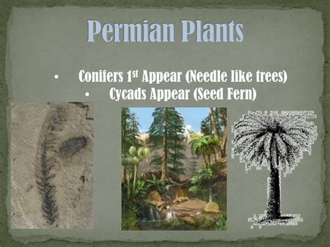 Ppt Permian Period Powerpoint Presentation Id2851177