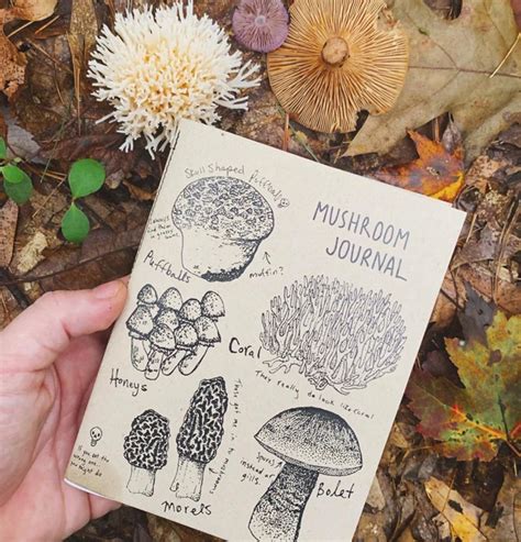 Mushroom Journal Foraging Field Guide Notes For Edible Mushrooms Zine