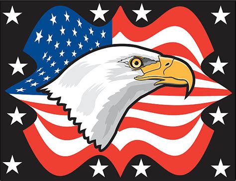 American Flag Bald Eagle Clip Art Stock Photos Pictures And Royalty Free
