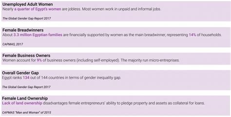 Fintech For Women Scaling The Financial Inclusion Pyramid In Egypt Part I Invyo Insights