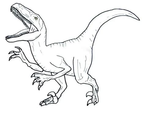 Dibujo De Dinosaurio Velociraptor Para Colorear Para Imprimir Y Colorear Sexiz Pix