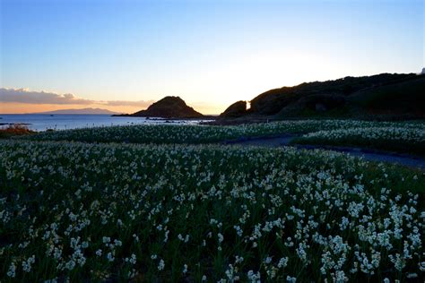 ナルシスの丘の夜明けⅡ by hatto （ID：6459030） - 写真共有サイト:PHOTOHITO