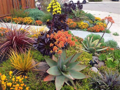 Xeriscaping And Drought Tolerant Landscape Plans Design Swan