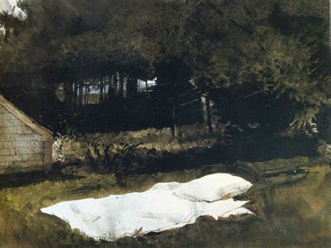 Sunbath By Andrew Wyeth