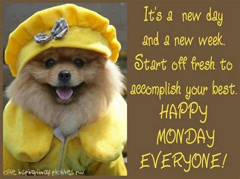 Its A New Day And A New Week Start Off Fresh To Accomplish Your Best