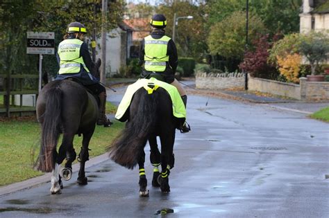 5 Ways To Stop Your Horse Spooking In Traffic Horses Horse Training